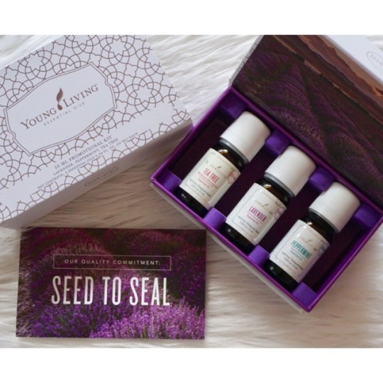 Seed to Seal Box, Young Living 3 äth. Öle Set kaufen bei Naturessenzen