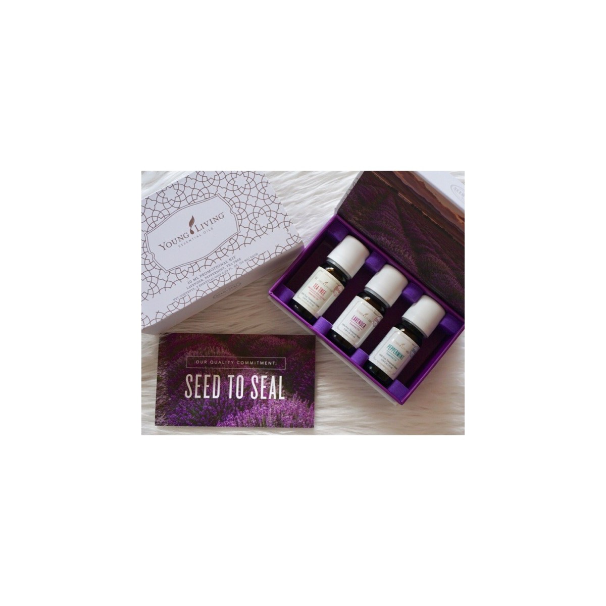 Seed to Seal Box, Young Living 3 äth. Öle Set kaufen bei Naturessenzen