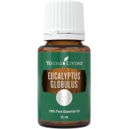 Eukalyptus globulus ätherisches Öl von Young Living bei Naturessenzen online in Österreich und Deutschland bestellen.