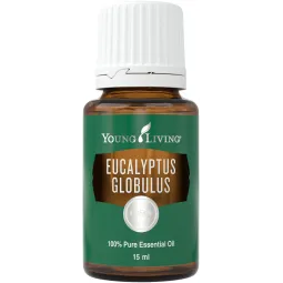 Eukalyptus globulus ätherisches Öl von Young Living bei Naturessenzen online in Österreich und Deutschland bestellen.