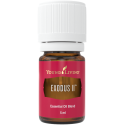 Exodus II äth. Öl von Young Living im Naturessenzen Online-Shop kaufen. Bestellen & Lieferung in Österreich & Deutschland