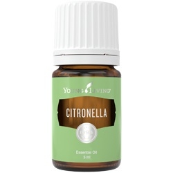 Citronella, Young Living ätherisches Öl als kosmetisches Mittel