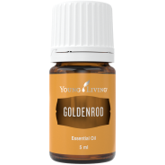 Goldenrod - Goldraute von Young Living im Naturessenzen Online-Shop kaufen. Bestellen & Lieferung in Österreich & Deutschland