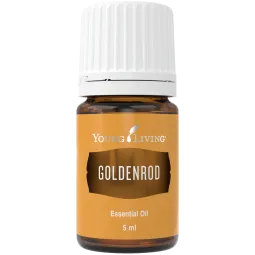 Goldenrod - Goldraute von Young Living im Naturessenzen Online-Shop kaufen. Bestellen & Lieferung in Österreich & Deutschland