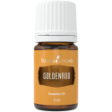 Goldenrod - Goldraute von Young Living im Naturessenzen Online-Shop kaufen. Bestellen & Lieferung in Österreich & Deutschland