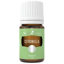 Citronella von Young Living im Naturessenzen Online-Shop kaufen. Bestellen & Lieferung in Österreich & Deutschland