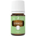 Citronella von Young Living im Naturessenzen Online-Shop kaufen. Bestellen & Lieferung in Österreich & Deutschland