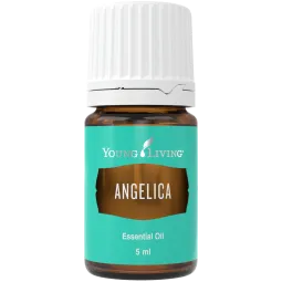 Angelica - Engelswurz von Young Living im Naturessenzen Online-Shop kaufen. Bestellen & Lieferung in Österreich & Deutschland