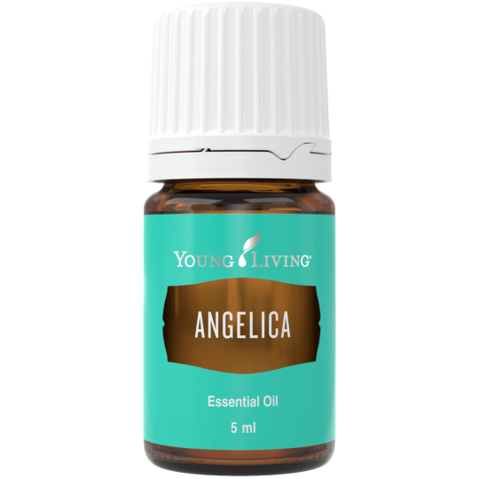 Angelica - Engelswurz von Young Living im Naturessenzen Online-Shop kaufen. Bestellen & Lieferung in Österreich & Deutschland