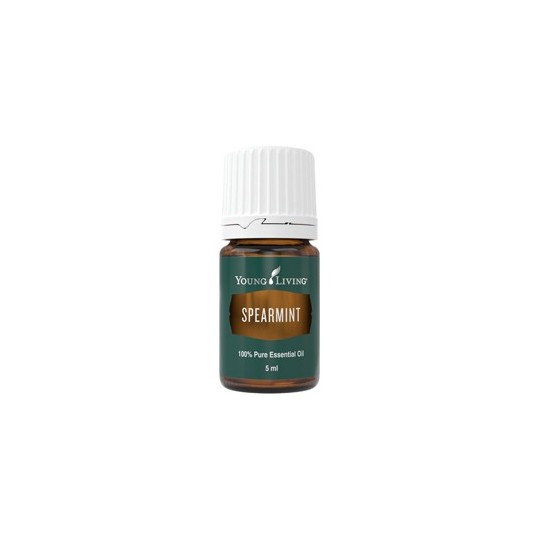 Grüne Minze, Spearmint von Young Living im Naturessenzen Online-Shop kaufen. Bestellen & Lieferung in Österreich & Deutschland