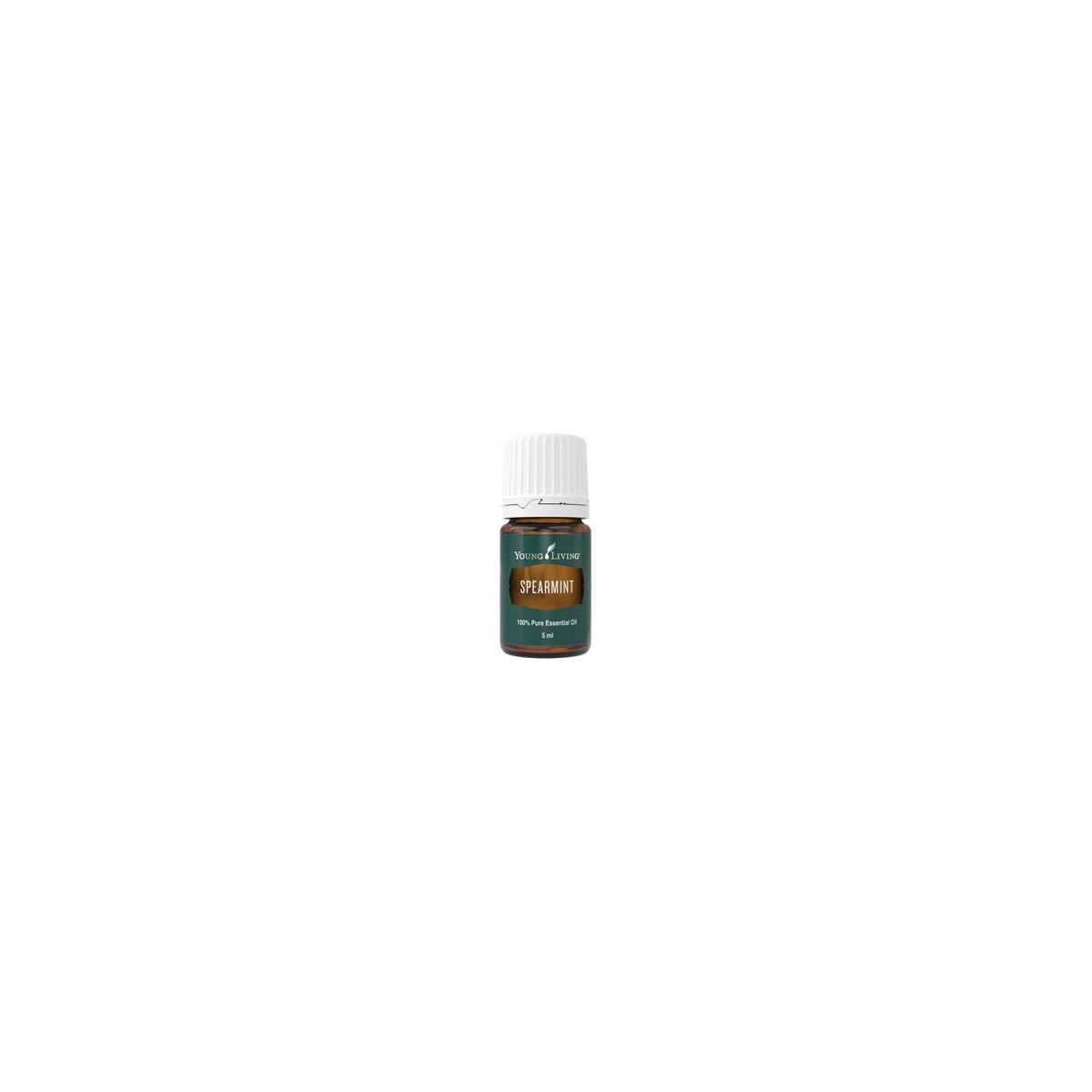 Grüne Minze, Spearmint von Young Living im Naturessenzen Online-Shop kaufen. Bestellen & Lieferung in Österreich & Deutschland