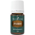 Grüne Minze, Spearmint von Young Living im Naturessenzen Online-Shop kaufen. Bestellen & Lieferung in Österreich & Deutschland