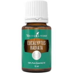 Eukalyptus radiata, 15 ml, ätherisches Öl Young Living