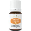 Citrus Fresh+, Young Living ätherische Ölmischung als Nahrungsergänzung online kaufen. Versand in Österreich und Deutschland