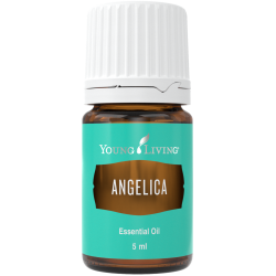 Angelica - Engelswurz, Young Living ätherisches Öl als kosmetisches Mittel