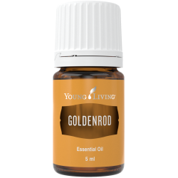 Goldenrod - Goldraute, Young Living ätherisches Öl als kosmetisches Mittel