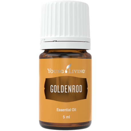 Goldenrod - Goldraute, Young Living ätherisches Öl als kosmetisches Mittel