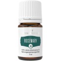 Rosmarin+ von Young Living im Naturessenzen Online-Shop kaufen. Bestellen & Lieferung in Österreich & Deutschland