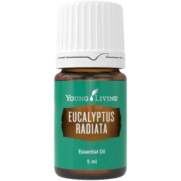 RABATT: Eukalyptus radiata, 5 ml, ätherisches Öl, Young Living kaufen bei Naturessenzen
