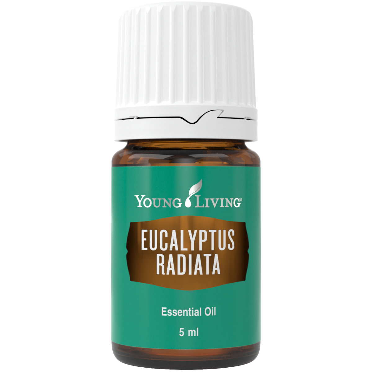 Eukalyptus radiata, 5 ml, ätherisches Öl, Young Living online kaufen bei Naturessenzen