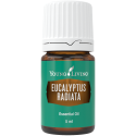 Eukalyptus radiata, 5 ml, ätherisches Öl, Young Living online kaufen bei Naturessenzen