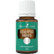 Eukalyptus radiata, ätherisches Öl, Young Living online kaufen