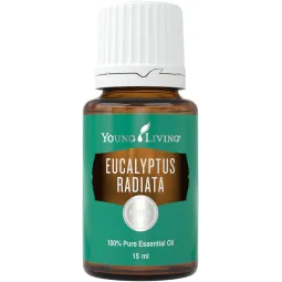 Eukalyptus radiata, ätherisches Öl, Young Living online kaufen