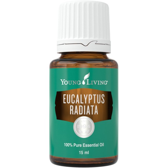 Eukalyptus radiata, ätherisches Öl, Young Living online kaufen