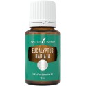 Eukalyptus radiata, ätherisches Öl, Young Living online kaufen