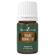 Idaho Riesentanne von Young Living im Naturessenzen Online-Shop kaufen. Bestellen & Lieferung in Österreich & Deutschland