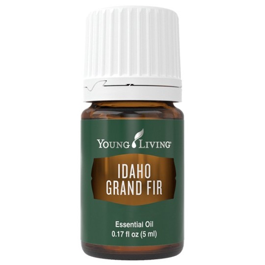 Idaho Riesentanne von Young Living im Naturessenzen Online-Shop kaufen. Bestellen & Lieferung in Österreich & Deutschland