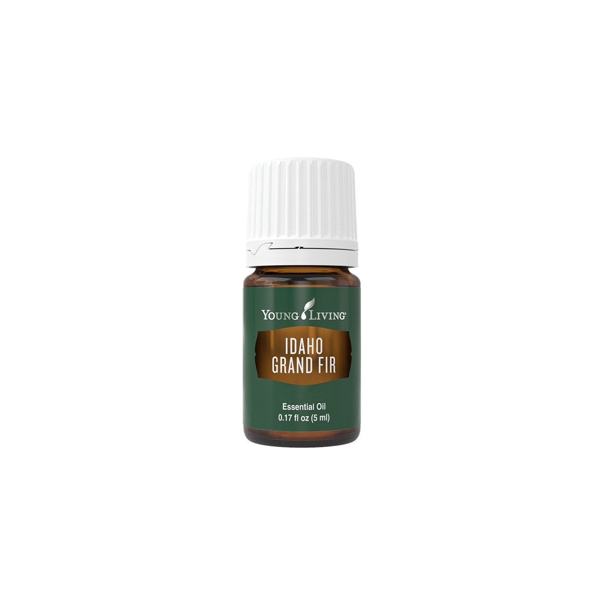 Idaho Riesentanne von Young Living im Naturessenzen Online-Shop kaufen. Bestellen & Lieferung in Österreich & Deutschland