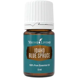 Idaho Blaufichte Blue Spruce ätherisches Öl von Young Living. Online bestellen. Versand in Österreich & Deutschland