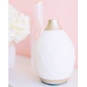 Desert Mist Diffuser von Young Living online bei Naturessenzen in Österreich und Deutschland einkaufen