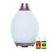 Desert Mist Diffuser von Young Living online bei Naturessenzen in Österreich und Deutschland bestellen