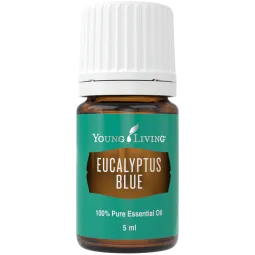 Eukalyptus blue, Young Living ätherisches Öl. Online bestellen bei Naturessenzen. Versand in Österreich & Deutschland
