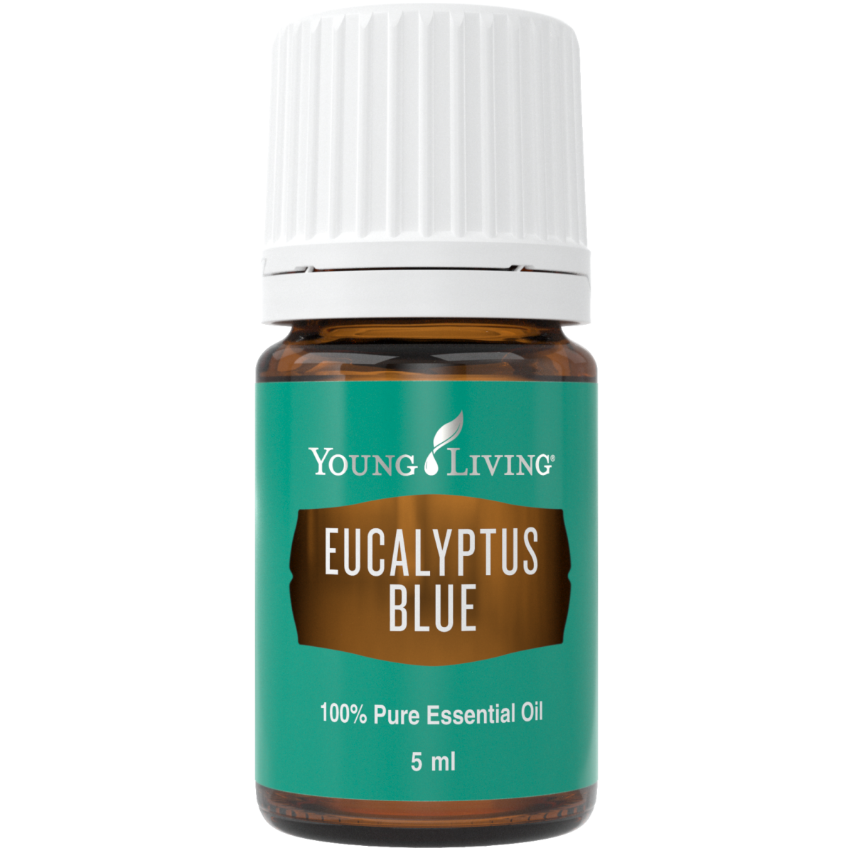 Eukalyptus blue, Young Living ätherisches Öl. Online bestellen bei Naturessenzen. Versand in Österreich & Deutschland