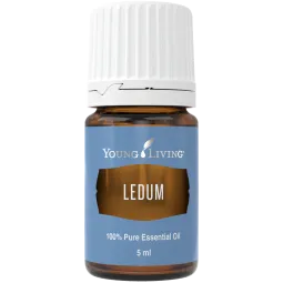 Ledum, Young Living ätherisches Öl online bestellen bei Naturessenzen. Versand in Österreich & Deutschland