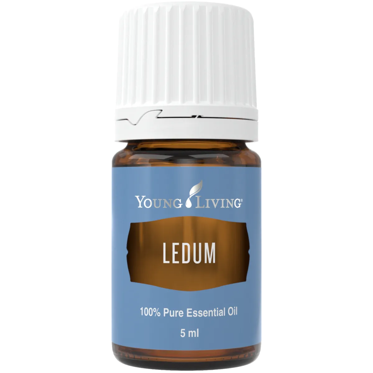 Ledum, Young Living ätherisches Öl online bestellen bei Naturessenzen. Versand in Österreich & Deutschland