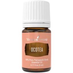 Ocotea, Young Living ätherisches Öl online bestellen bei Naturessenzen. Versand in Österreich & Deutschland