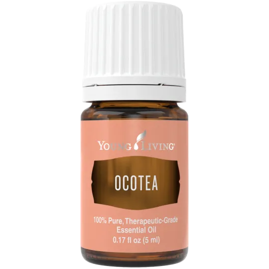 Ocotea, Young Living ätherisches Öl online bestellen bei Naturessenzen. Versand in Österreich & Deutschland