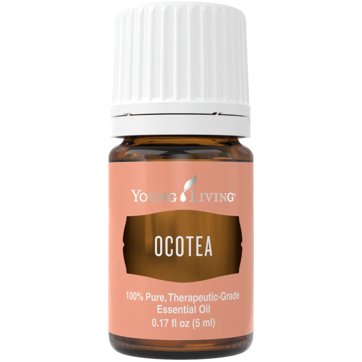 Ocotea, Young Living ätherisches Öl online bestellen bei Naturessenzen. Versand in Österreich & Deutschland