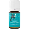 Sandelholz, königlich-hawaiianisch, Young Living ätherisches Öl online kaufen bei Naturessenzen. Versand nach AT und DE