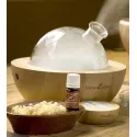 Aria Diffuser Young Living mit 2 ätherischen Ölen online bestellen bei Naturessenzen. Versand in Österreich & Deutschland