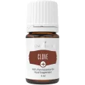 Nelke ätherisches Öl als Nahrungsergänzung von Young Living bei Naturessenzen online in Österreich und Deutschland bestellen.