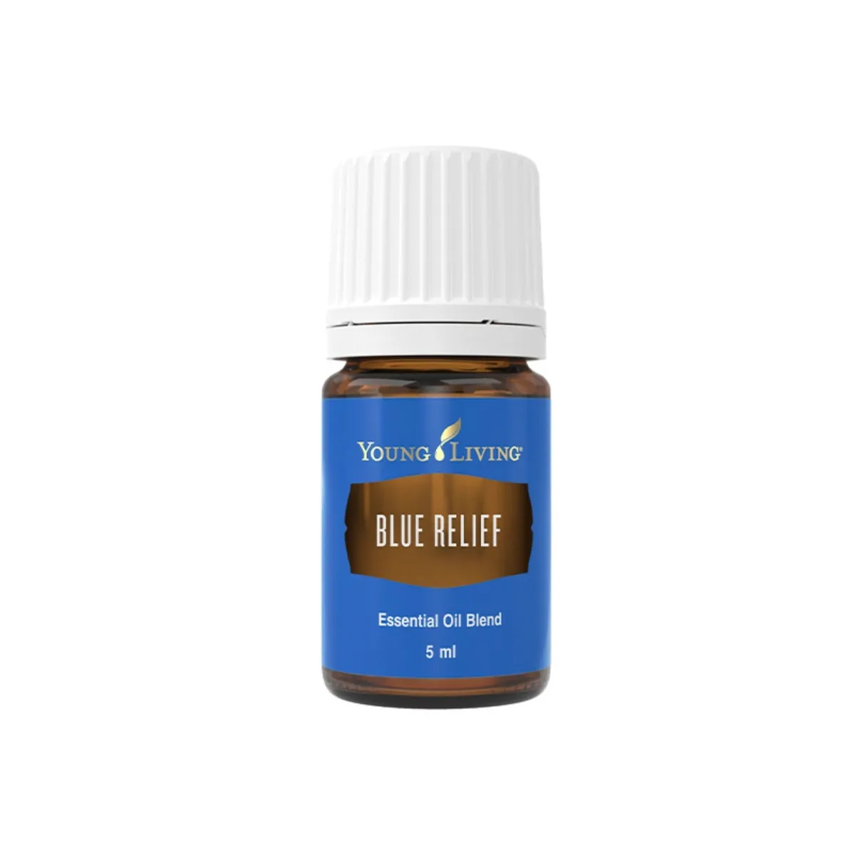 Blue Cypress, Young Living ätherisches Öl online bestellen bei Naturessenzen. Versand in Österreich & Deutschland
